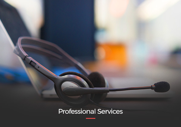 Professional Services